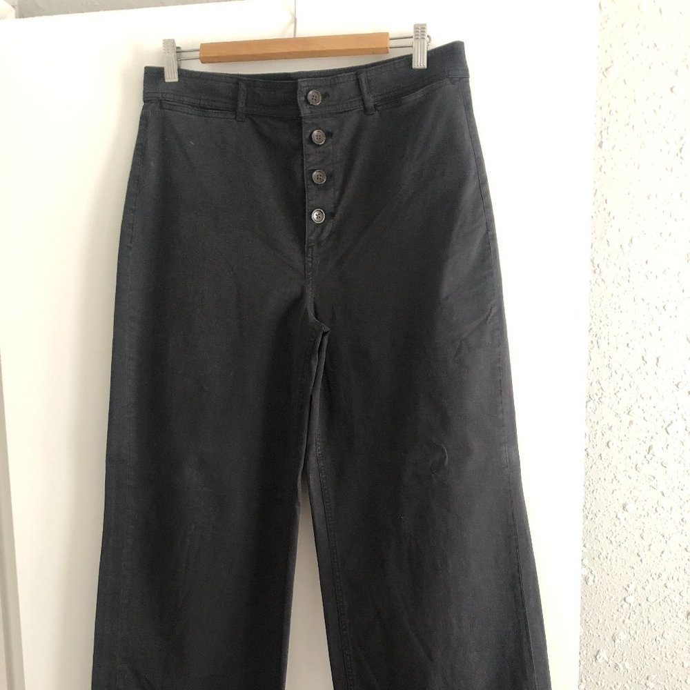 Everlane Lightweight Button-Fly Wide Leg Chino Pants (12) - NWOT